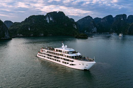 Aime’e Cruises – Tổng quan