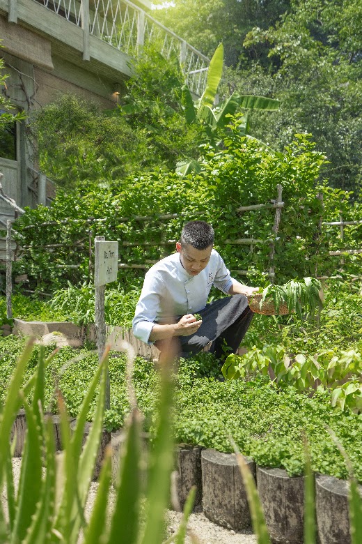 An Lâm Retreats Ninh Vân Bay Nha Trang – . Organic Garden