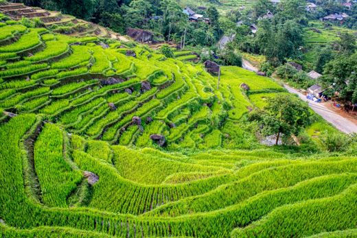 Central Hills Pù Luông Resort – Tổng quan