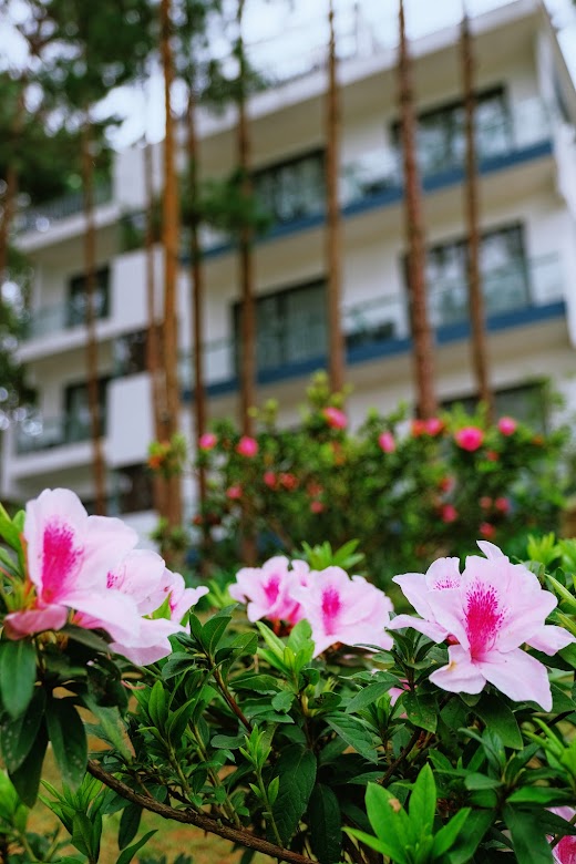 Cereja Hotel & Resort Dalat – . Landscape