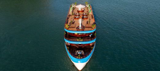 Cycad Cruise – Tổng quan