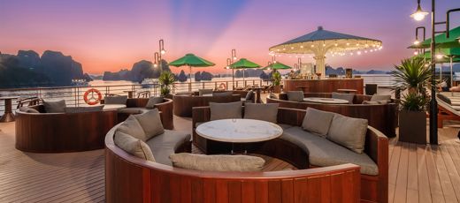 Cycad Cruise – Tổng quan