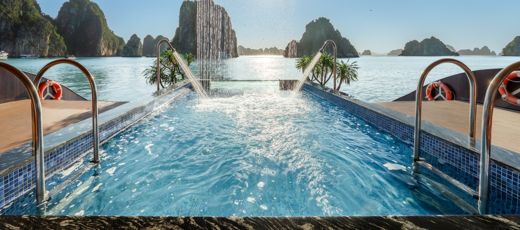 Cycad Cruise – Tổng quan