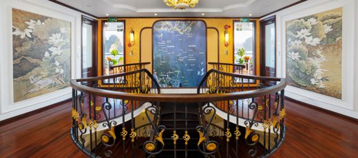 Cycad Cruise – Tổng quan