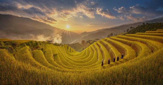 Delamont Sapa – Tổng quan