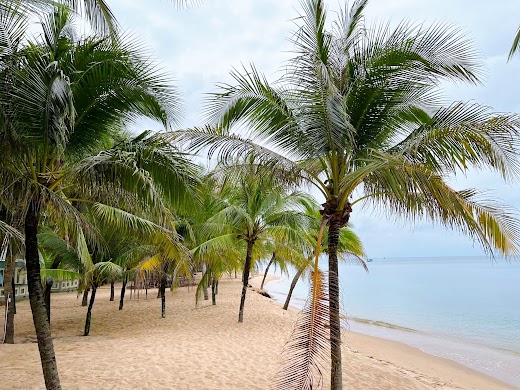 Dusit Phú Quốc Resort – Bãi biển
