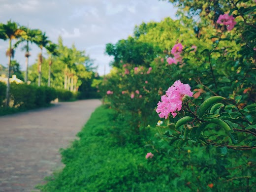 Emeralda Resort Ninh Bình – Tổng quan