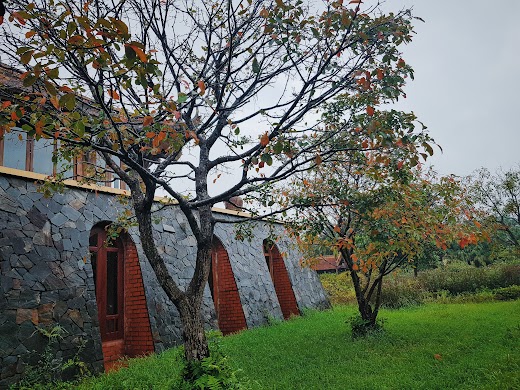 Emeralda Resort Ninh Bình – Sảnh đón