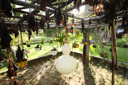 Êmm Hotel Hội An – GARDEN