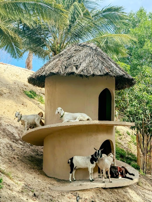 Fusion Resort Cam Ranh – FUSION FARM COLLECTION