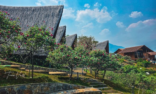Le Champ Tú Lệ – . Nhà Hươn 25m2