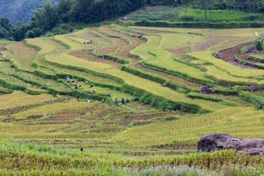Mai Chau Lodge – Nhà hàng