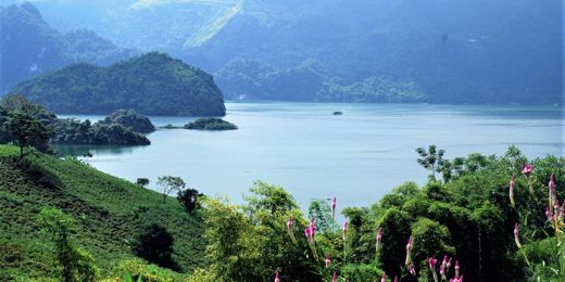 Maida Lodge – Phòng nghỉ