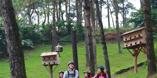 Melia Ba Vì Mountain Retreat – Tổng quan