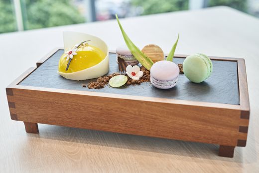 Novotel Hà Nội Thái Hà – Tổng quan