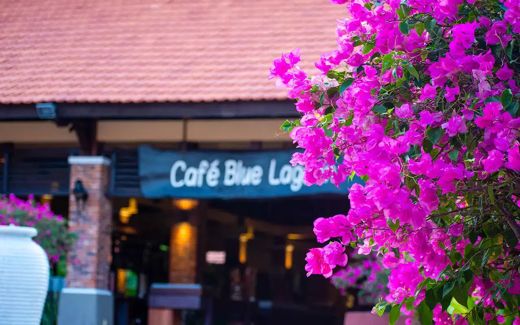 Pandanus Resort – Tổng quan
