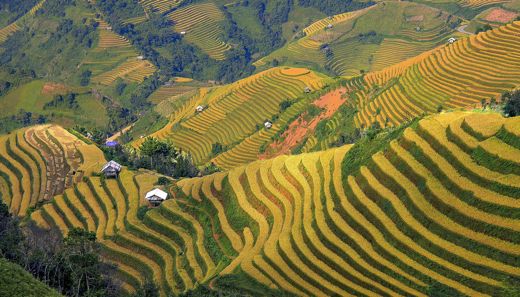 Sapa Symphony Hotel – Tổng quan