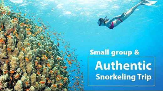 Seashells Phú Quốc Hotel – Tổng quan